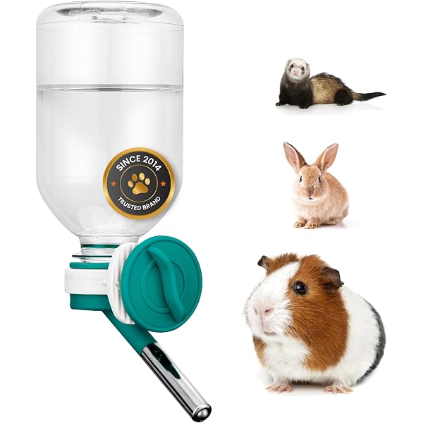 Guinea Pigs: The Complete Guide: Guinea Pig Care, DIY Toys